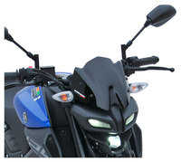 Ermax Naked Bike Scheibe Inklusive Haltesatz Mit Abe Kaufen Louis