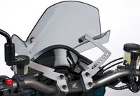 Puig Puig Naked Bike Screen Incl Mounting Kit With ABE