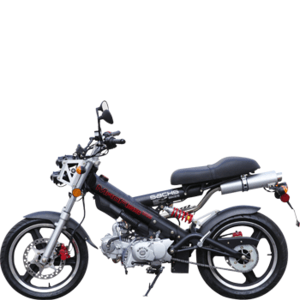 SFM (SACHS) MAD ASS 125