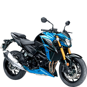 SUZUKI GSX-S 750 (EURO 4)