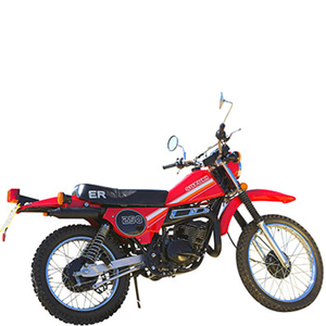 SUZUKI TS 250 ER