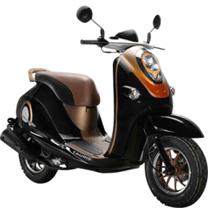 TAURIS PICCADILLY 50 (4-TAKTER)
