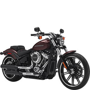 HARLEY-DAVIDSON SOFTAIL BREAKOUT (107 CUI)