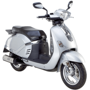 REX BERGAMO 50