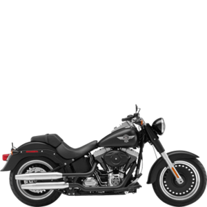 HARLEY-DAVIDSON FAT BOY/FAT BOY SPECIAL (FLSTFB)