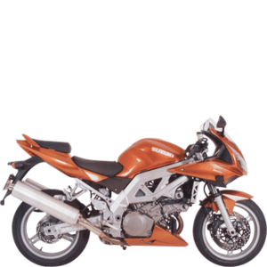 SUZUKI SV 1000 S