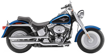 HARLEY-DAVIDSON FAT BOY INJECTION (TWIN CAM)