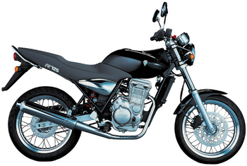MZ RT 125