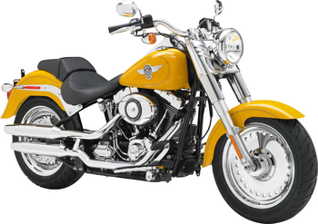 HARLEY-DAVIDSON FAT BOY/FAT BOY SPECIAL (FLSTFB)