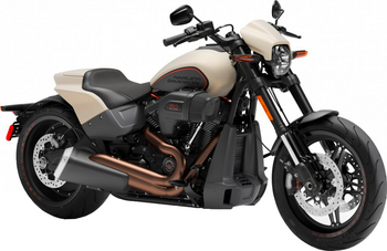 HARLEY-DAVIDSON SOFTAIL FXDR (DESTROYER) 114 CUI