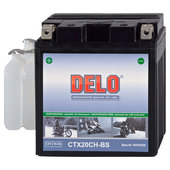 DELO MICROVLIES-ACCU