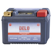 DELO LITHIUM-ION BATTERY