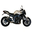 MIVV Suono Auspuffsystem mit EG-BE