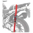 Acebikes Zurrgurt-Set Essential mit Ratsche