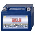 Delo Gel Batterie