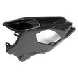 Ilmberger Carbonteile für BMW S1000 RR ab 2019