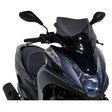 Ermax Rollerscheibe Sport