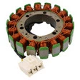 JMP Lichtmaschine Stator für div. Modelle