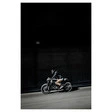 Riding Culture Chino Modell 2020