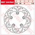 TRW Bremsscheiben Racing, Hinten, mit ABE