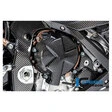 Ilmberger Carbonteile für BMW S1000 RR ab 2019
