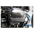 Ilmberger Carbonteile für alle BMW RnineT Modelle