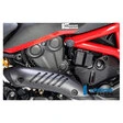 Ilmberger Carbon Teile für Ducati Monster/matt