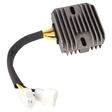 TECNIUM Lithium-Ion Lichtmaschinen-Regler