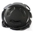 Ilmberger Carbonteile für BMW S1000 R