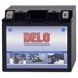 Delo Mikrovlies-Batterie
