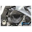 Ilmberger Carbonteile für BMW S1000 R