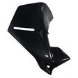 Ilmberger Carbonteile für BMW R1200 GS (LC) 13-18