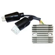 TECNIUM Lithium-Ion Lichtmaschinen-Regler