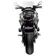 Leo Vince LV-10 Auspuffsystem mit EG-BE