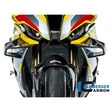 Ilmberger Carbonteile für BMW S1000 RR ab 2019