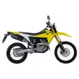 Arrow Auspuffsystem mit EG-BE