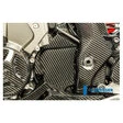 Ilmberger Carbonteile für BMW S1000 XR bis 2019