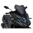 Ermax Rollerscheibe Sport