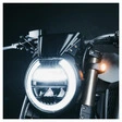 MOTOISM Windschild für CB650R