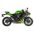 Akrapovic Racing-Line Auspuffsystem mit EG-BE
