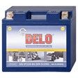 Delo Gel Batterie