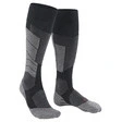 Falke BC1 lang