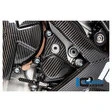 Ilmberger Carbonteile für BMW S1000 RR ab 2019