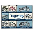 Triumph Magnet Set