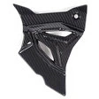 Ilmberger Carbonteile für BMW S1000 RR ab 2019