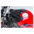 Ilmberger Carbonteile für BMW S1000 R