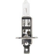 Spahn Scheinwerferlampe H1 12V 55W