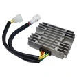 TECNIUM Lithium-Ion Lichtmaschinen-Regler