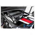 Ilmberger Carbonteile für BMW S1000 RR ab 2019