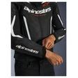 alpinestars Alpinestars GP Force V2 Lederkombijacke